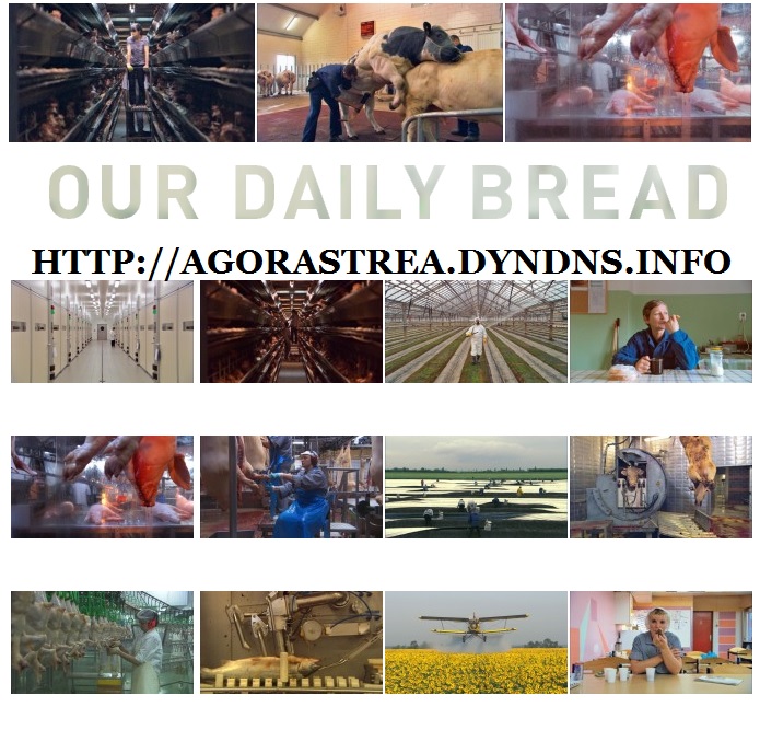 OUR DAILY BREAD - IL NOSTRO PANE QUOTIDIANO. DOCUMENTARIO. ANNO 2003/2005